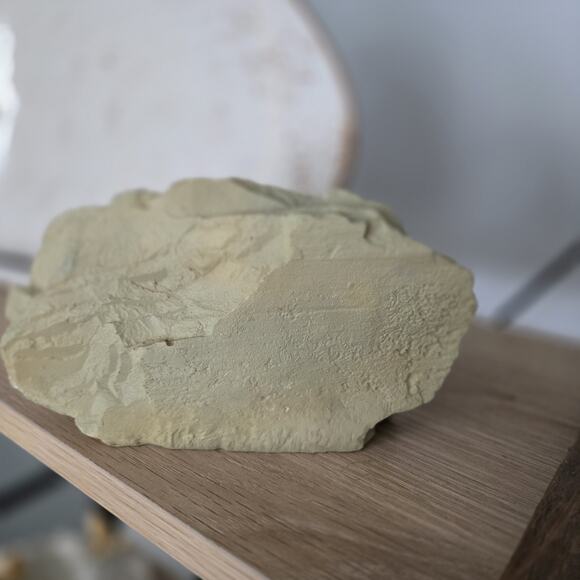 Engraved Rhino Resin Slate Figurine - Picture 2 of 8